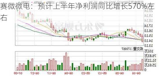 赛微微电：预计上半年净利润同比增长570%左右