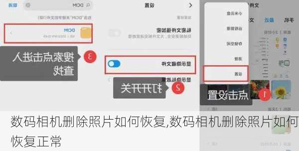 数码相机删除照片如何恢复,数码相机删除照片如何恢复正常