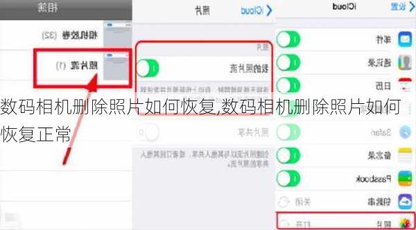 数码相机删除照片如何恢复,数码相机删除照片如何恢复正常