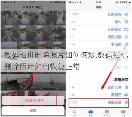 数码相机删除照片如何恢复,数码相机删除照片如何恢复正常