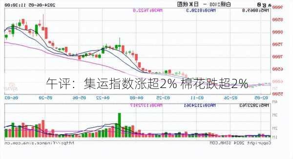 午评：集运指数涨超2% 棉花跌超2%