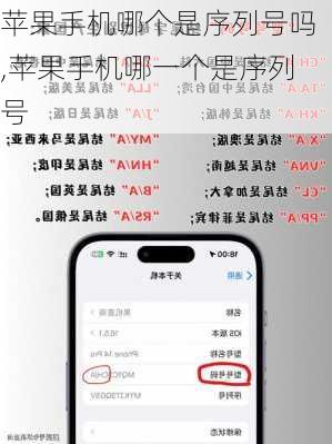 苹果手机哪个是序列号吗,苹果手机哪一个是序列号
