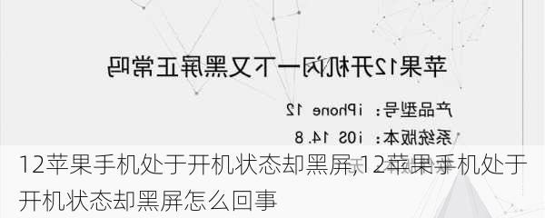 12苹果手机处于开机状态却黑屏,12苹果手机处于开机状态却黑屏怎么回事