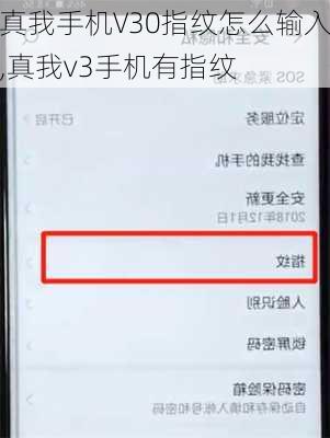 真我手机V30指纹怎么输入,真我v3手机有指纹
