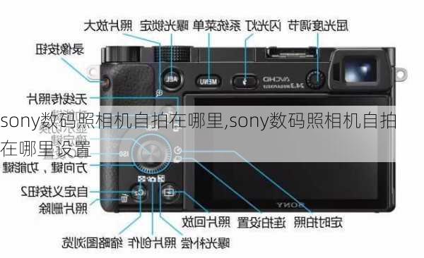 sony数码照相机自拍在哪里,sony数码照相机自拍在哪里设置