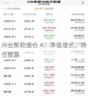 兴业聚乾混合 A：净值增长，持仓披露