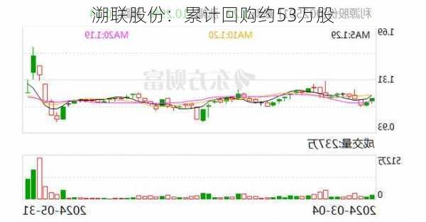 溯联股份：累计回购约53万股