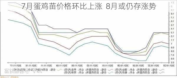 7月蛋鸡苗价格环比上涨  8月或仍存涨势