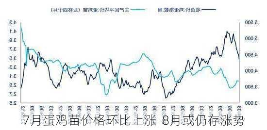 7月蛋鸡苗价格环比上涨  8月或仍存涨势