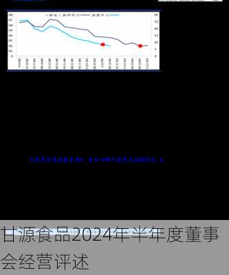 甘源食品2024年半年度董事会经营评述