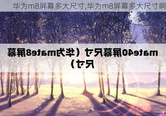 华为m8屏幕多大尺寸,华为m8屏幕多大尺寸啊