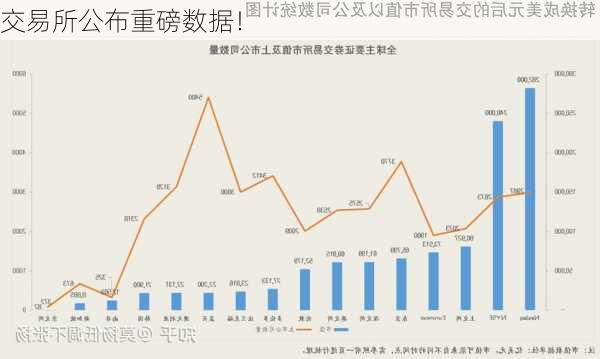 交易所公布重磅数据！