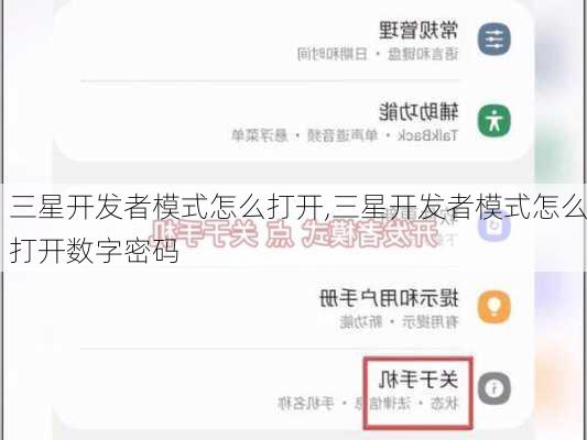 三星开发者模式怎么打开,三星开发者模式怎么打开数字密码