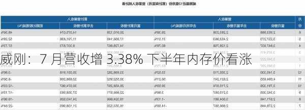 威刚：7 月营收增 3.38% 下半年内存价看涨