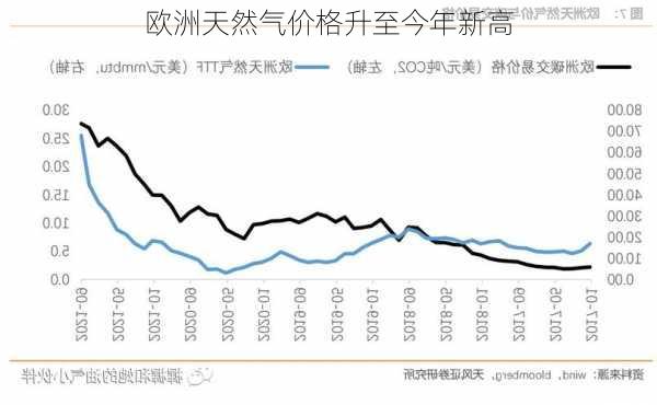 欧洲天然气价格升至今年新高