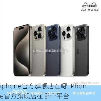 iphone官方旗舰店在哪,iPhone官方旗舰店在哪个平台