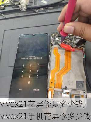 vivox21花屏修复多少钱,vivox21手机花屏修多少钱