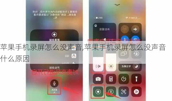 苹果手机录屏怎么没声音,苹果手机录屏怎么没声音什么原因