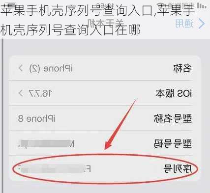 苹果手机壳序列号查询入口,苹果手机壳序列号查询入口在哪
