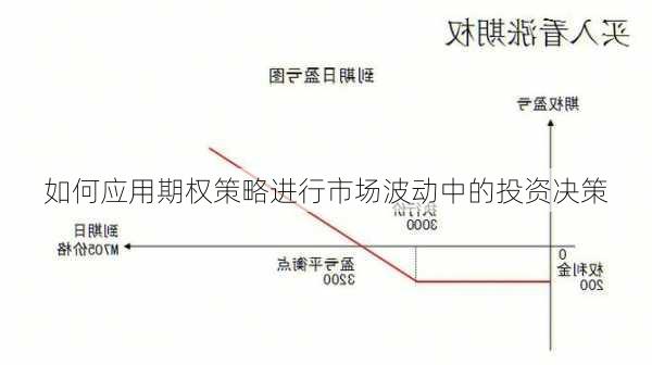 如何应用期权策略进行市场波动中的投资决策