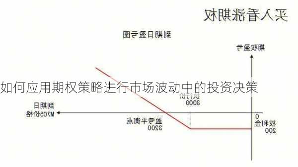 如何应用期权策略进行市场波动中的投资决策