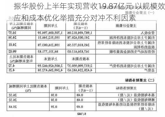 振华股份上半年实现营收19.87亿元 以规模效应和成本优化举措充分对冲不利因素