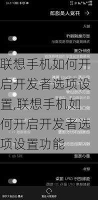 联想手机如何开启开发者选项设置,联想手机如何开启开发者选项设置功能