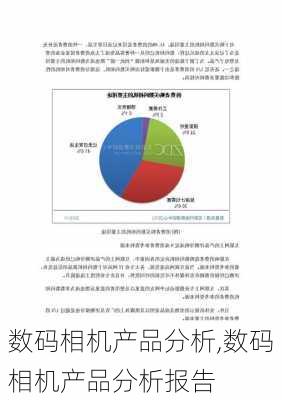 数码相机产品分析,数码相机产品分析报告