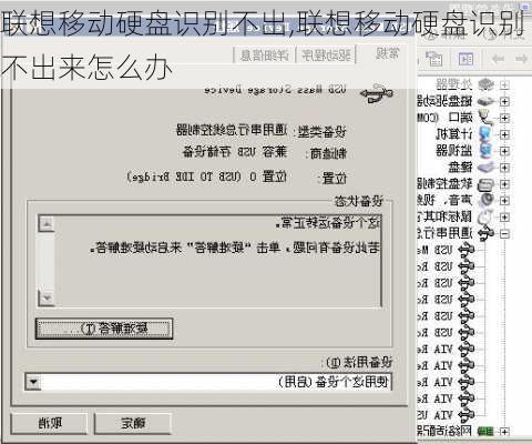 联想移动硬盘识别不出,联想移动硬盘识别不出来怎么办