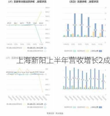 上海新阳上半年营收增长2成