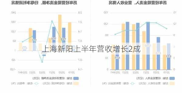 上海新阳上半年营收增长2成