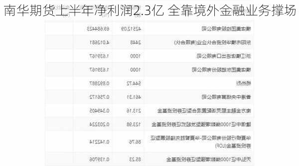 南华期货上半年净利润2.3亿 全靠境外金融业务撑场