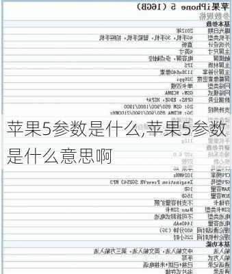 苹果5参数是什么,苹果5参数是什么意思啊