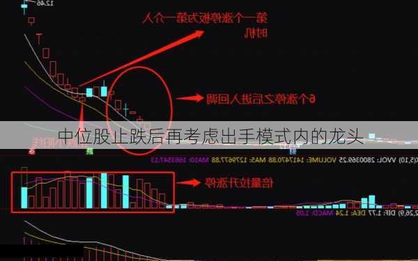 中位股止跌后再考虑出手模式内的龙头