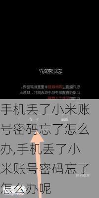 手机丢了小米账号密码忘了怎么办,手机丢了小米账号密码忘了怎么办呢