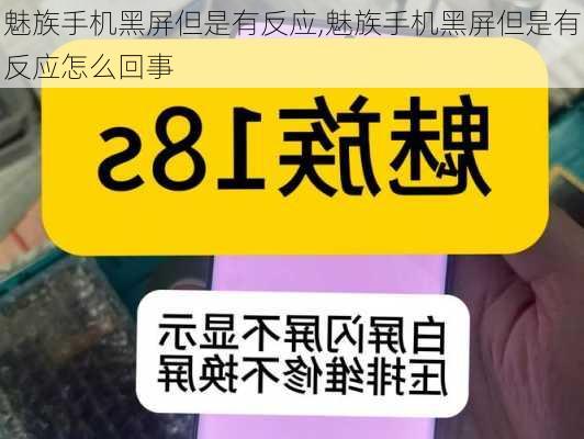 魅族手机黑屏但是有反应,魅族手机黑屏但是有反应怎么回事