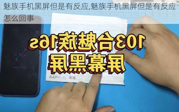 魅族手机黑屏但是有反应,魅族手机黑屏但是有反应怎么回事