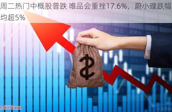 周二热门中概股普跌 唯品会重挫17.6%，蔚小理跌幅均超5%