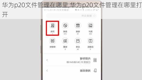 华为p20文件管理在哪里,华为p20文件管理在哪里打开