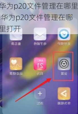 华为p20文件管理在哪里,华为p20文件管理在哪里打开
