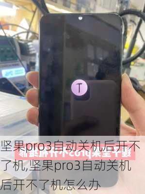 坚果pro3自动关机后开不了机,坚果pro3自动关机后开不了机怎么办