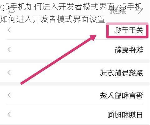 g5手机如何进入开发者模式界面,g5手机如何进入开发者模式界面设置
