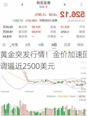 黄金突发行情！金价加速回调逼近2500美元