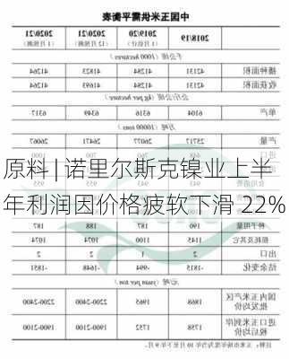 原料 | 诺里尔斯克镍业上半年利润因价格疲软下滑 22%