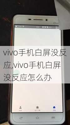 vivo手机白屏没反应,vivo手机白屏没反应怎么办