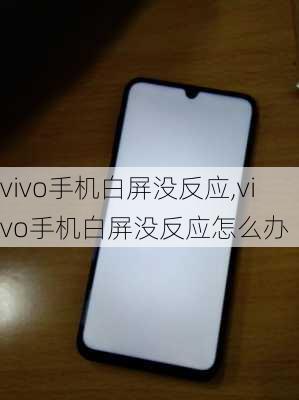 vivo手机白屏没反应,vivo手机白屏没反应怎么办