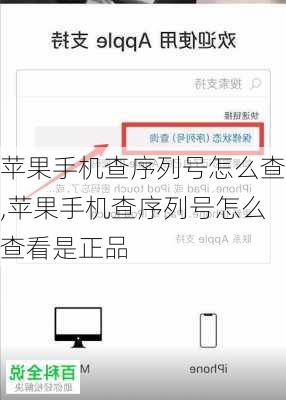 苹果手机查序列号怎么查,苹果手机查序列号怎么查看是正品