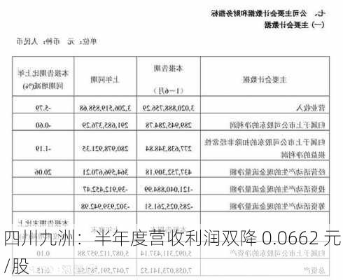 四川九洲：半年度营收利润双降 0.0662 元/股