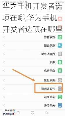 华为手机开发者选项在哪,华为手机开发者选项在哪里