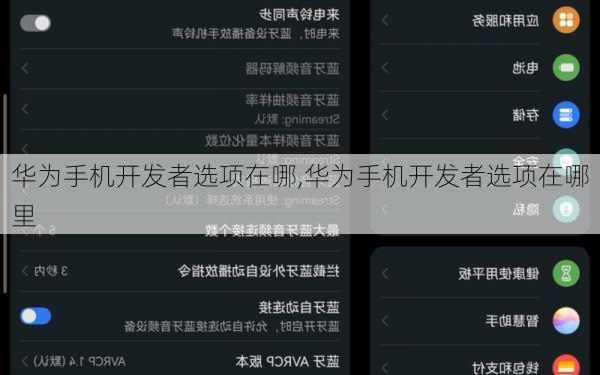 华为手机开发者选项在哪,华为手机开发者选项在哪里
